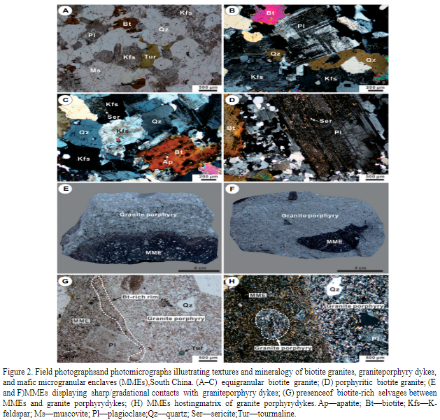 Unraveling The Link Between Mantle Upwelling And Formation Of Sn